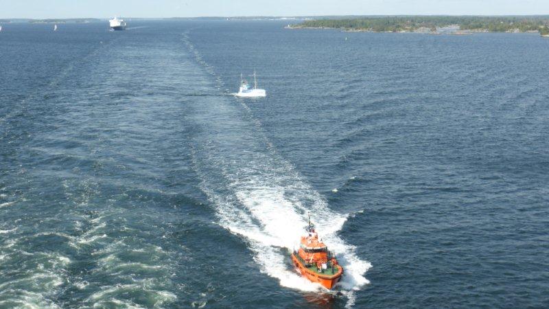 P1000979 - Kopie.JPG